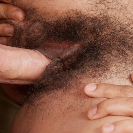 Latina Hairy Bbc pornographic gallery