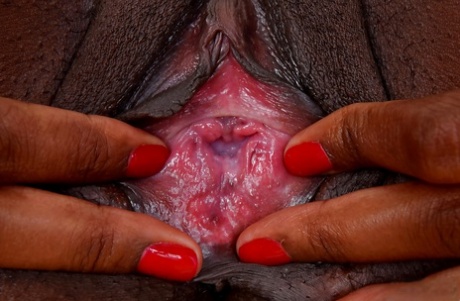 African Sayler Vixen pornographic images