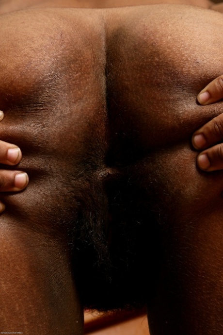 Black Huge Ass Bbw art naked photo